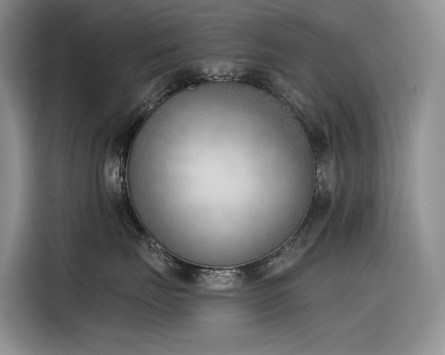 X0000116380671200912021521