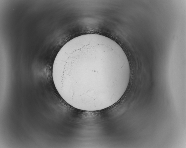 X0000116380672200912021521