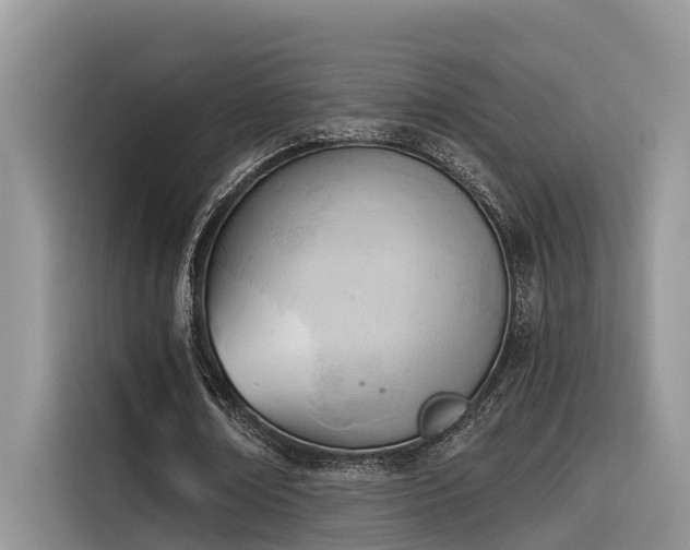 X0000116380674200912021520