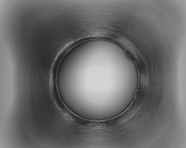 X0000116380676200912021520
