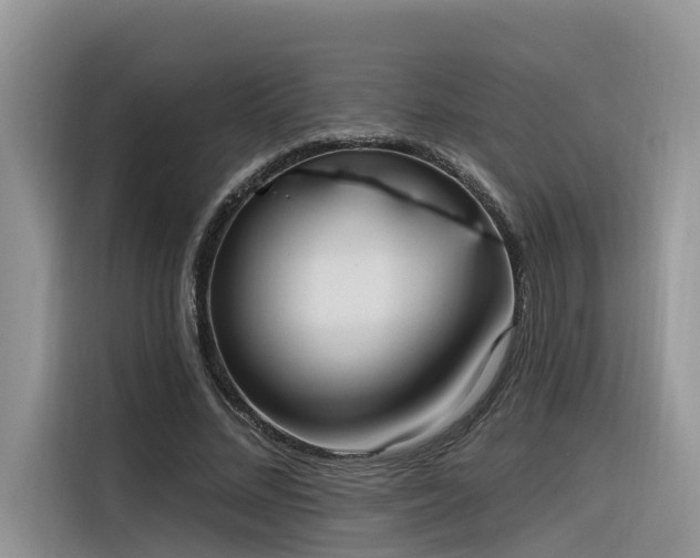 X0000116380684200912021520