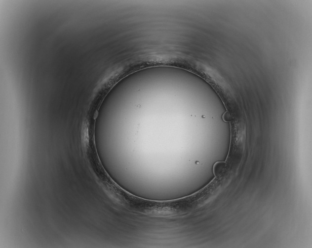 X0000116380685200912021520