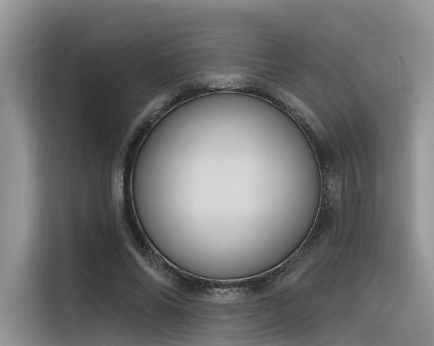 X0000116380686200912021520