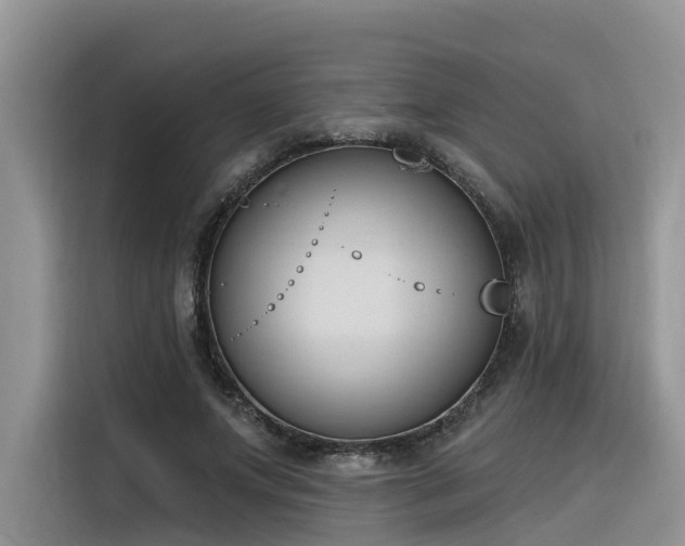 X0000116380687200912021520