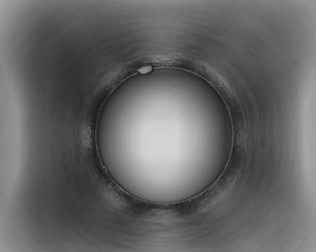X0000116380689200912021520