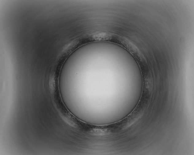 X0000116380690200912021520