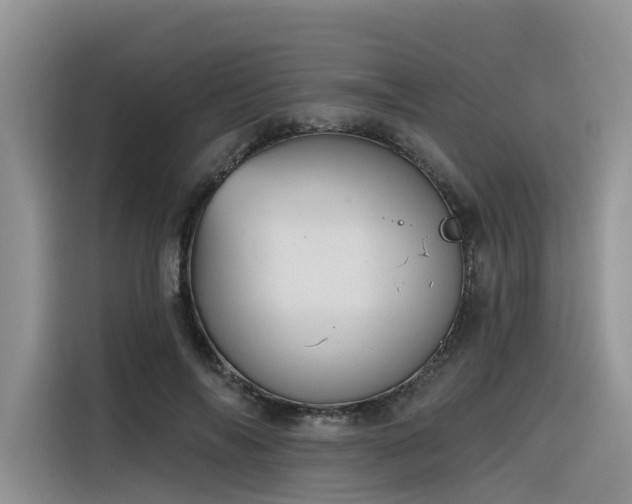 X0000116380694200912021520