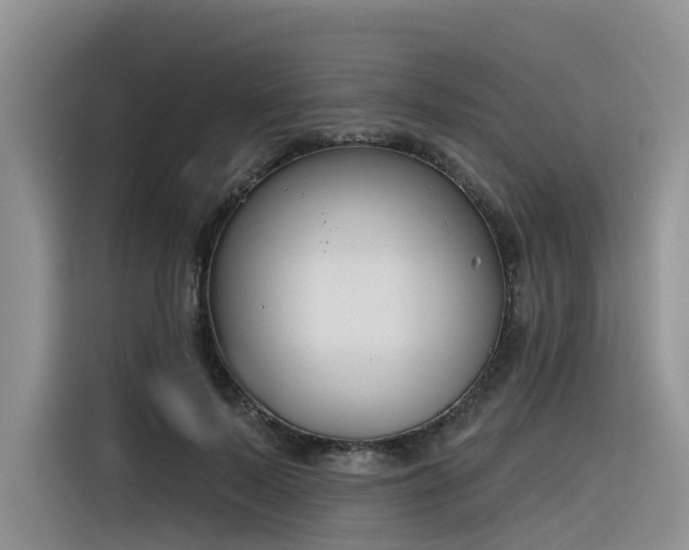 X0000116380695200912021520
