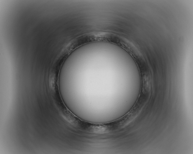 X0000116380698200912021520