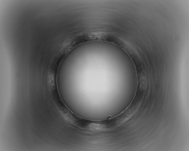 X0000116380699200912021520