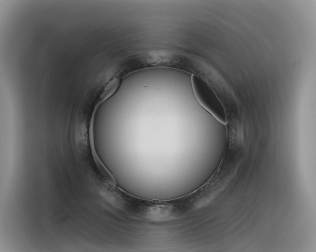 X0000116380700200912021520