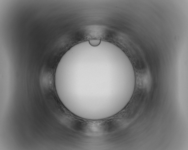 X0000116380701200912021520