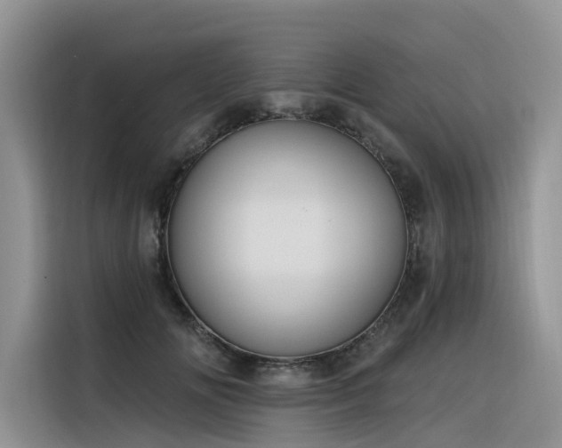 X0000116380702200912021520