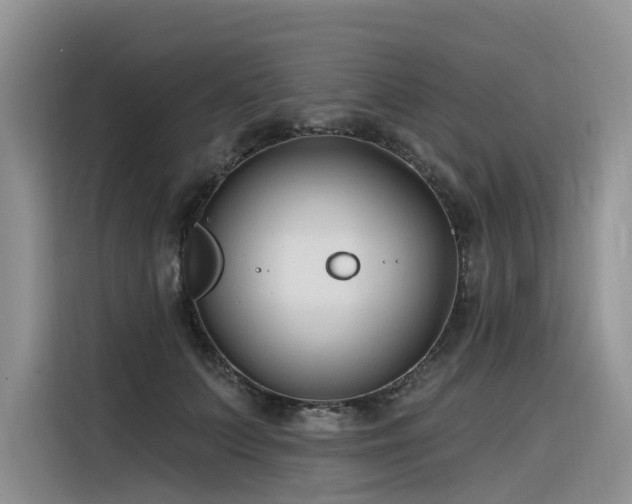 X0000116380703200912021520