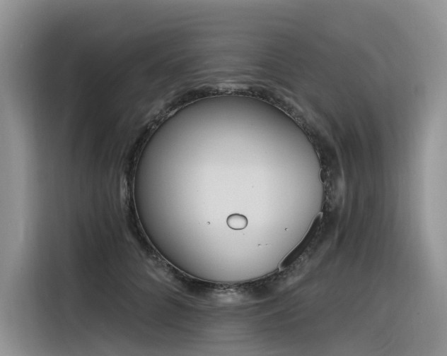 X0000116380704200912021520