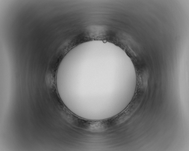 X0000116380705200912021520