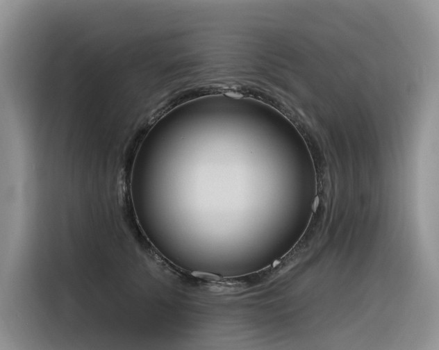 X0000116380707200912021520