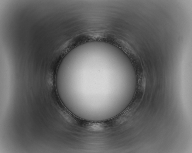 X0000116380710200912021520