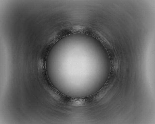 X0000116380711200912021520