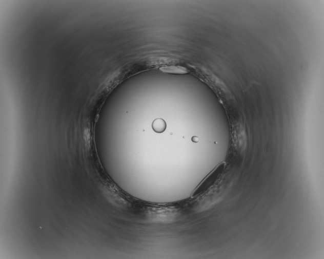 X0000116380716200912021519