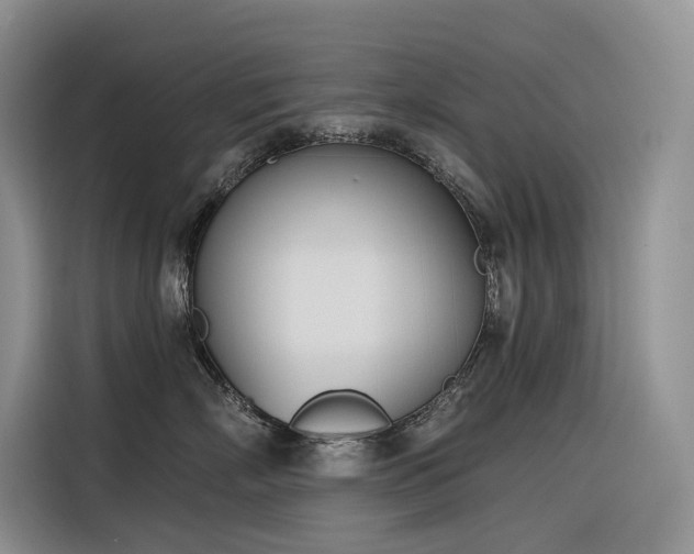 X0000116380718200912021519