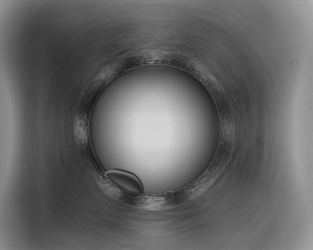 X0000116380719200912021519