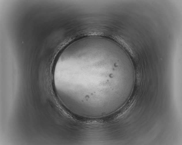 X0000116380721200912021519