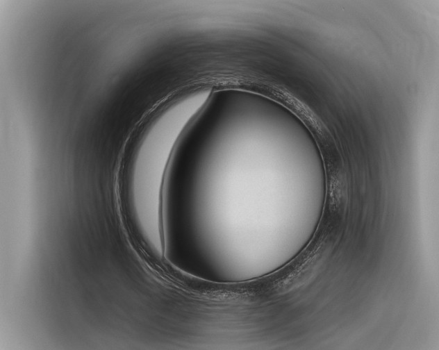 X0000116380722200912021519