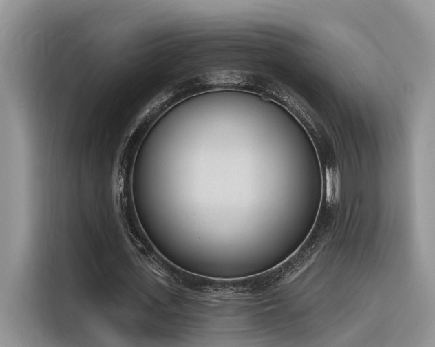 X0000116380723200912021519