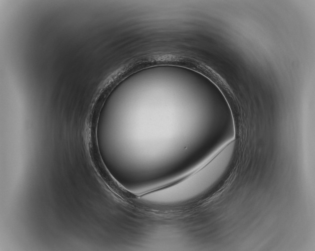 X0000116380725200912021519