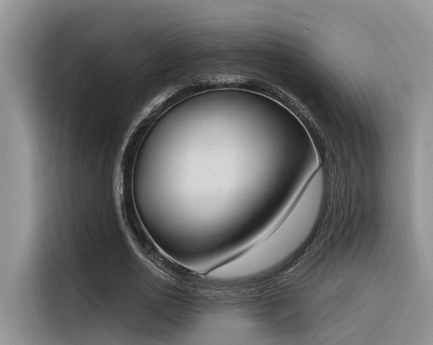 X0000116380726200912021519