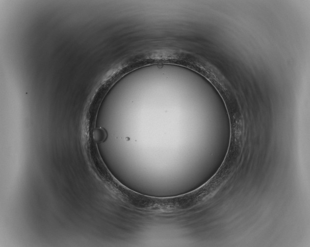 X0000116380727200912021519