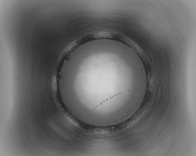 X0000116380729200912021519