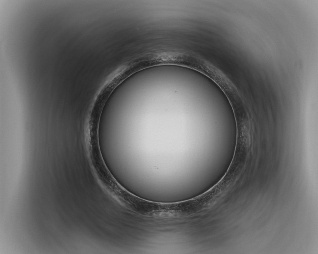 X0000116380730200912021519