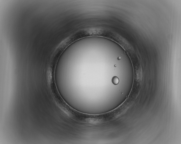 X0000116380733200912021519