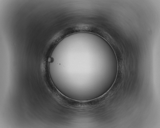 X0000116380735200912021519