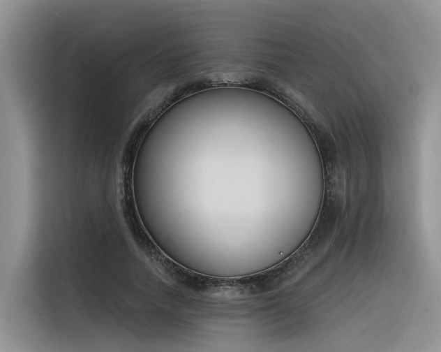 X0000116380738200912021519