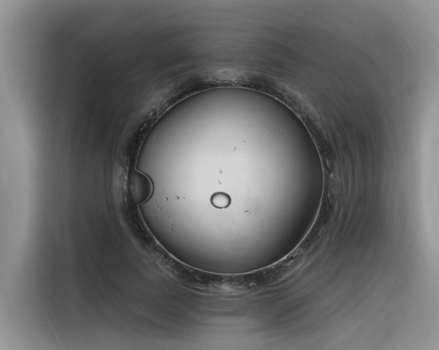 X0000116380739200912021519