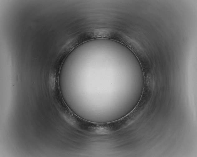 X0000116380741200912021519