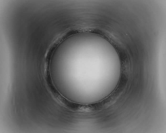 X0000116380742200912021519