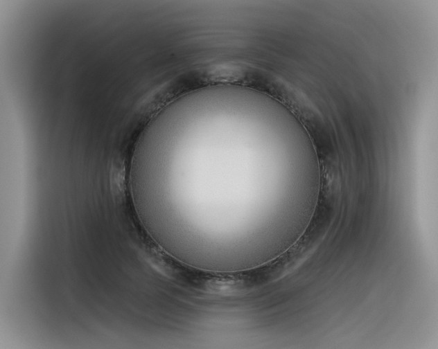 X0000116380745200912021519