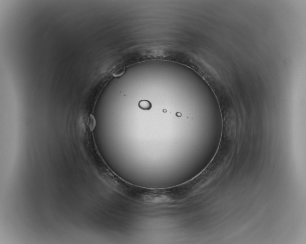 X0000116380747200912021519