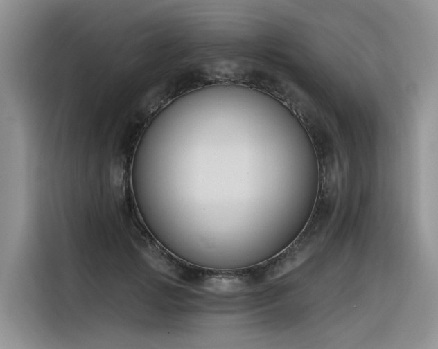 X0000116380749200912021519