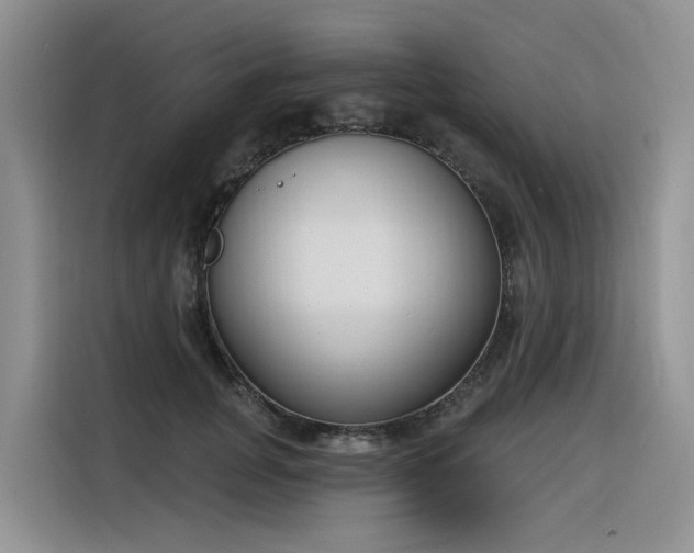 X0000116380751200912021519