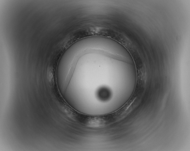 X0000116380754200912021519