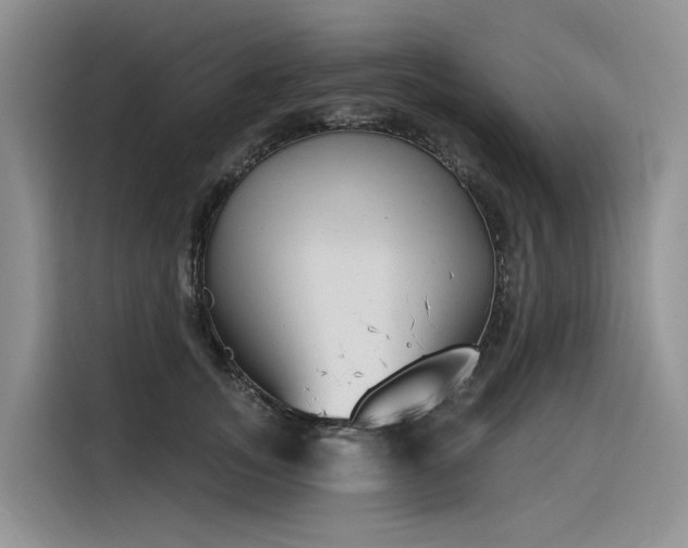 X0000116380755200912021519