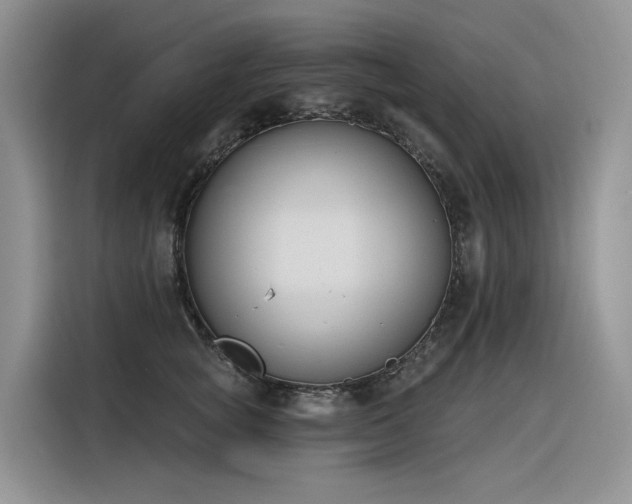 X0000116380757200912021519