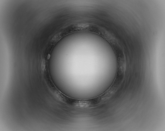 X0000116380758200912021519