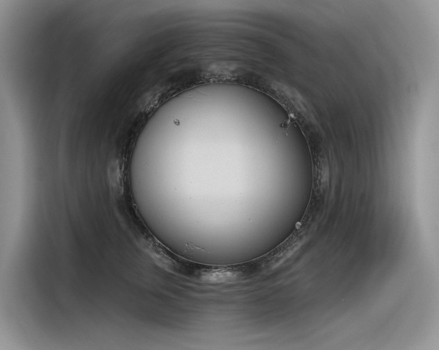 X0000116380759200912021519