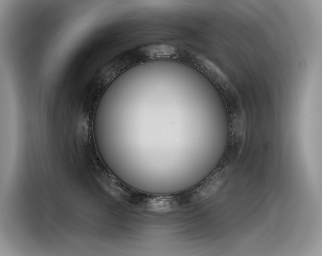X0000116380761200912021519